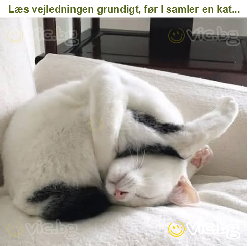 Læs vejledningen grundigt, før I samler en kat...