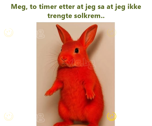 Meg, to timer etter at jeg sa at jeg ikke trengte solkrem..