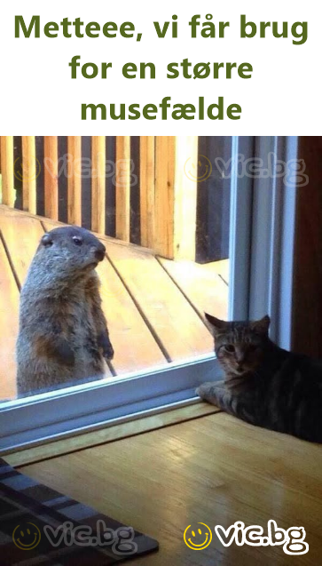 Metteee, vi får brug for en større musefælde