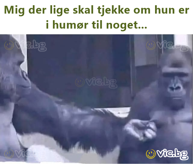 Mig der lige skal tjekke om hun er i humør til noget...