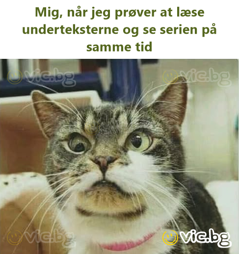 Mig, når jeg prøver at læse underteksterne og se serien på samme tid
