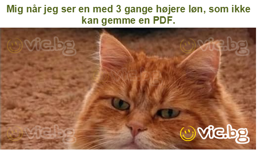 Mig når jeg ser en med 3 gange højere løn, som ikke kan gemme en PDF.