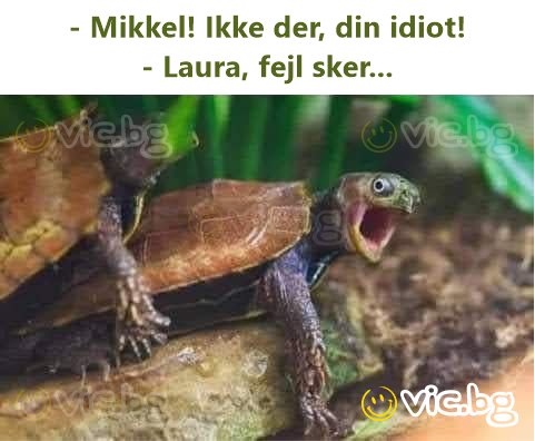 - Mikkel! Ikke der, din idiot! - Laura, fejl sker...