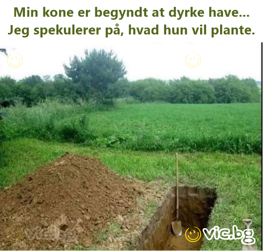 Min kone er begyndt at dyrke have... Jeg spekulerer på, hvad hun vil plante.