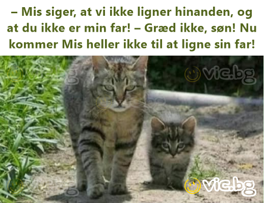 – Mis siger, at vi ikke ligner hinanden, og at du ikke er min far! – Græd ikke, søn! Nu kommer Mis heller ikke til at ligne sin far!