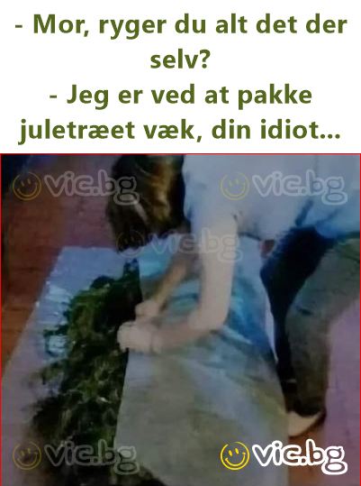 - Mor, ryger du alt det der selv?  - Jeg er ved at pakke juletræet væk, din idiot...