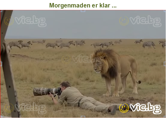 Morgenmaden er klar ...