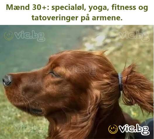 Mænd 30+: specialøl, yoga, fitness og tatoveringer på armene.