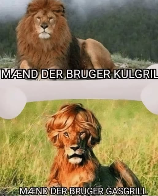 Mænd der bruger kulgrill. Mænd der bruger gasgrill