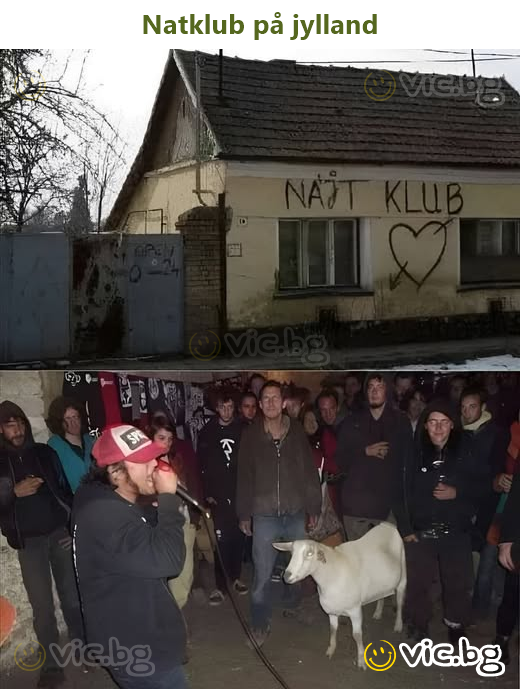 Natklub på jylland