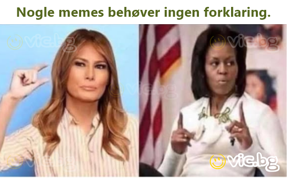 Nogle memes behøver ingen forklaring.