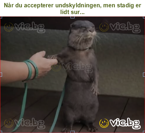 Når du accepterer undskyldningen, men stadig er lidt sur...