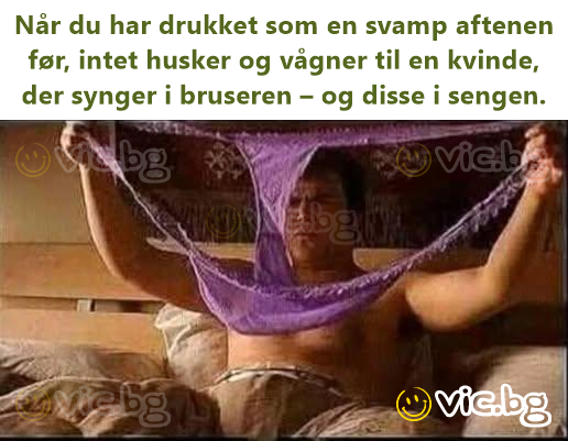 Når du har drukket som en svamp aftenen før, intet husker og vågner til en kvinde, der synger i bruseren – og disse i sengen.