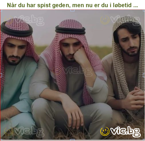 Når du har spist geden, men nu er du i løbetid ...