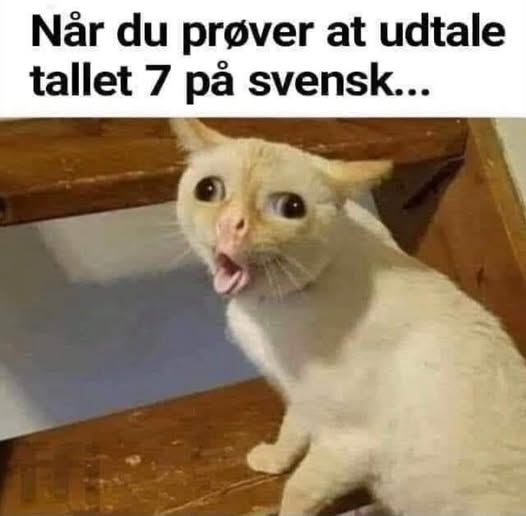 Når du prøver at udtale tallet 7 på svensk…