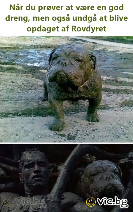 Når du prøver at være en god dreng, men også undgå at blive opdaget af Rovdyret