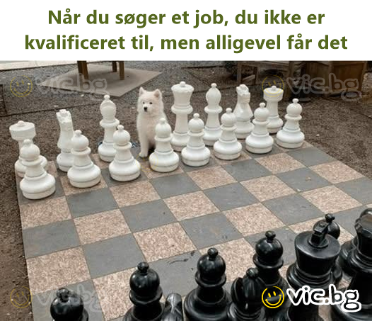 Når du søger et job, du ikke er kvalificeret til, men alligevel får det