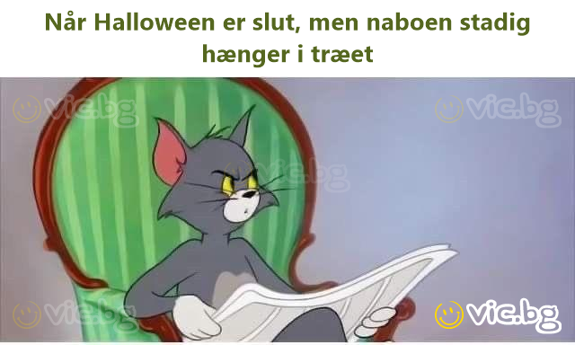 Når Halloween er slut, men naboen stadig hænger i træet
