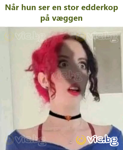 Når hun ser en stor edderkop på væggen