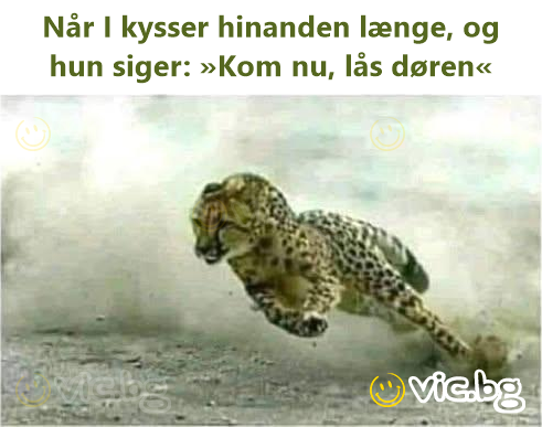 Når I kysser hinanden længe, og hun siger: »Kom nu, lås døren«