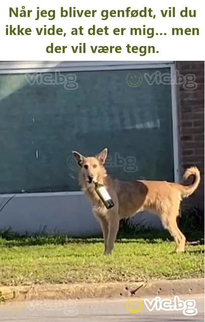 Når jeg bliver genfødt, vil du ikke vide, at det er mig… men der vil være tegn.