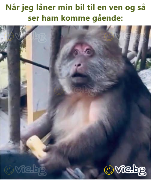 Når jeg låner min bil til en ven og så ser ham komme gående: