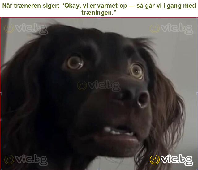 Når træneren siger: “Okay, vi er varmet op — så går vi i gang med træningen.”