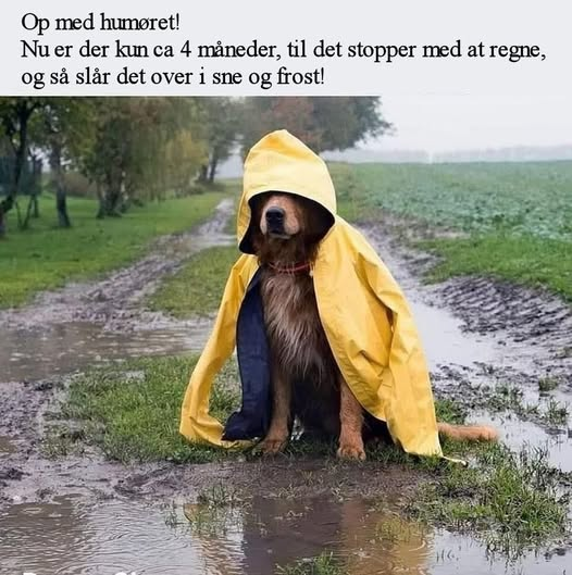 Op med humøret! Nu er der kun ca 4 måneder, til det stopper med at regne og så slår det over i sne og frost!