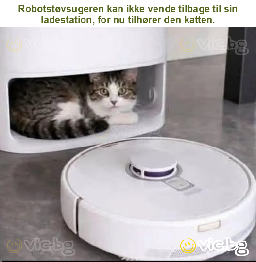 Robotstøvsugeren kan ikke vende tilbage til sin ladestation, for nu tilhører den katten.