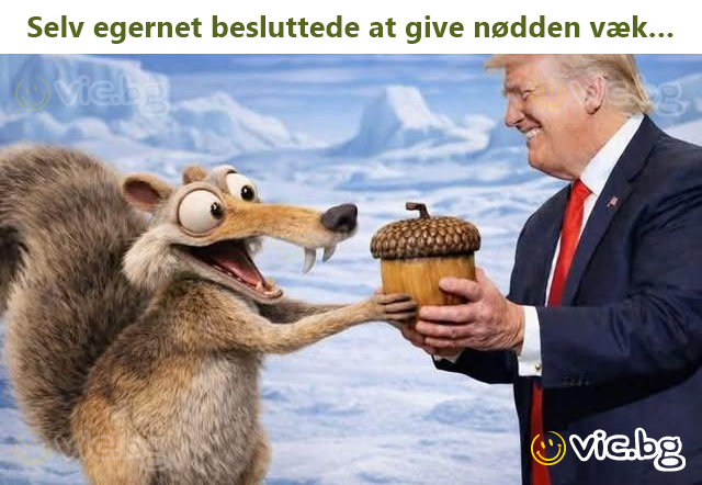 Selv egernet besluttede at give nødden væk…