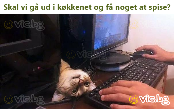 Skal vi gå ud i køkkenet og få noget at spise?