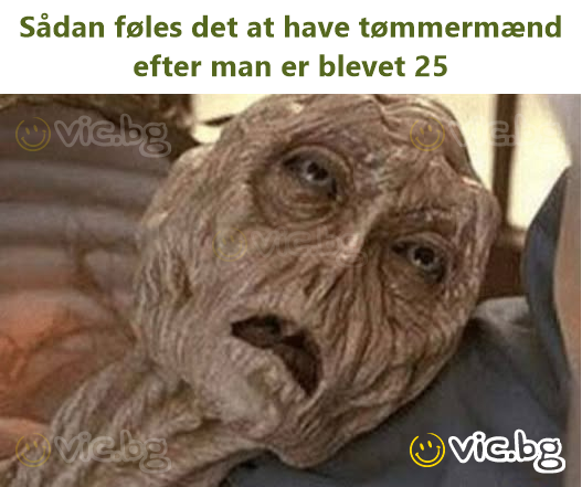 Sådan føles det at have tømmermænd efter man er blevet 25