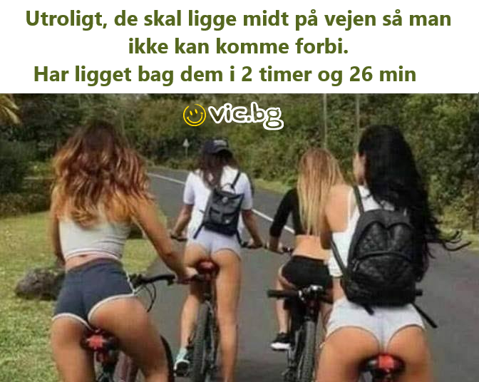 Utroligt, de skal ligge midt på vejen så man ikke kan komme forbi. Har ligget bag dem i 2 timer og 26 min