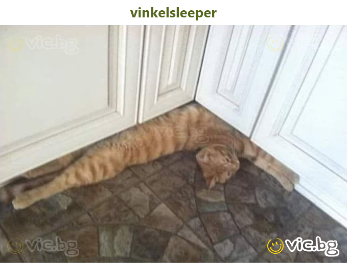 vinkelsleeper