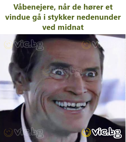 Våbenejere, når de hører et vindue gå i stykker nedenunder ved midnat