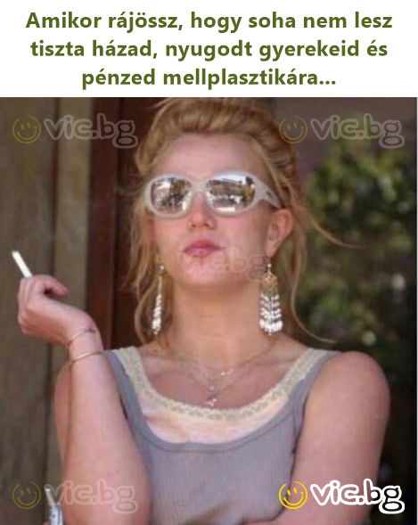 Amikor rájössz, hogy soha nem lesz tiszta házad, nyugodt gyerekeid és pénzed mellplasztikára...