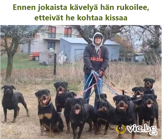 Ennen jokaista kävelyä hän rukoilee, etteivät he kohtaa kissaa