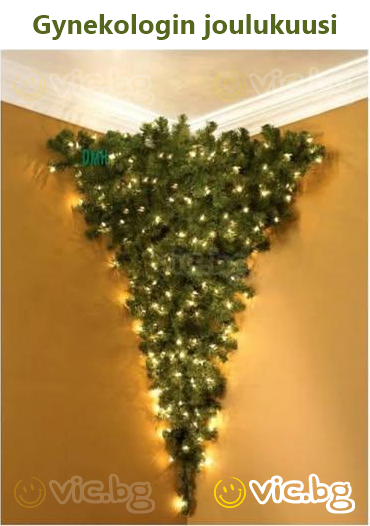 Gynekologin joulukuusi