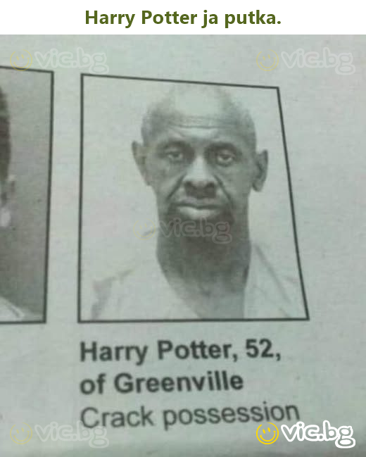 Harry Potter ja putka.