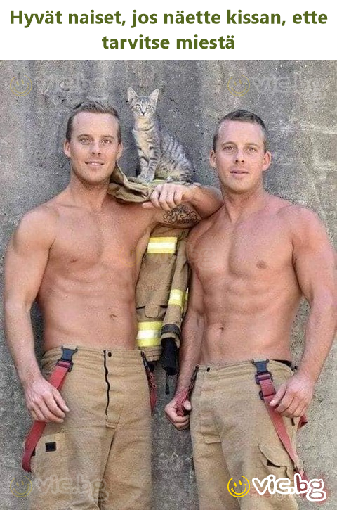 Hyvät naiset, jos näette kissan, ette tarvitse miestä