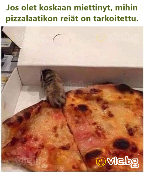 Jos olet koskaan miettinyt, mihin pizzalaatikon reiät on tarkoitettu.