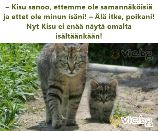 – Kisu sanoo, ettemme ole samannäköisiä ja ettet ole minun isäni! – Älä itke, poikani! Nyt Kisu ei enää näytä omalta isältäänkään!