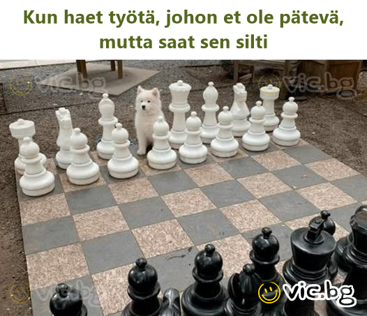 Kun haet työtä, johon et ole pätevä, mutta saat sen silti