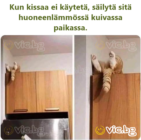 Kun kissaa ei käytetä, säilytä sitä huoneenlämmössä kuivassa paikassa.