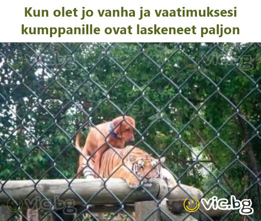 Kun olet jo vanha ja vaatimuksesi kumppanille ovat laskeneet paljon