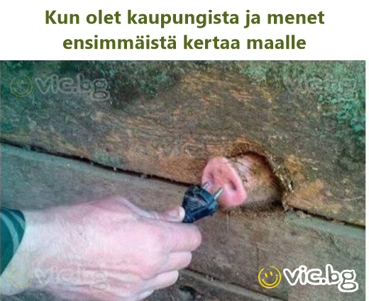 Kun olet kaupungista ja menet ensimmäistä kertaa maalle