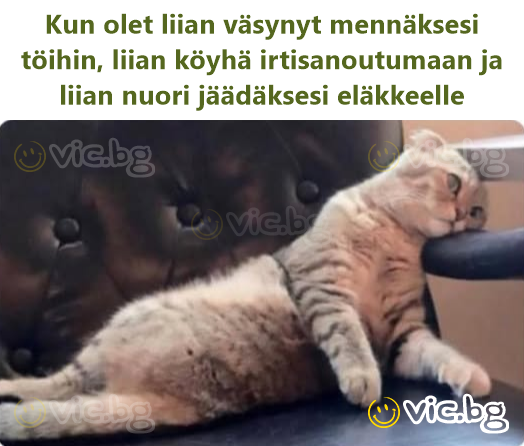 Kun olet liian väsynyt mennäksesi töihin, liian köyhä irtisanoutumaan ja liian nuori jäädäksesi eläkkeelle