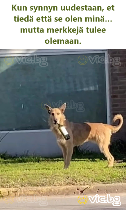 Kun synnyn uudestaan, et tiedä että se olen minä… mutta merkkejä tulee olemaan.