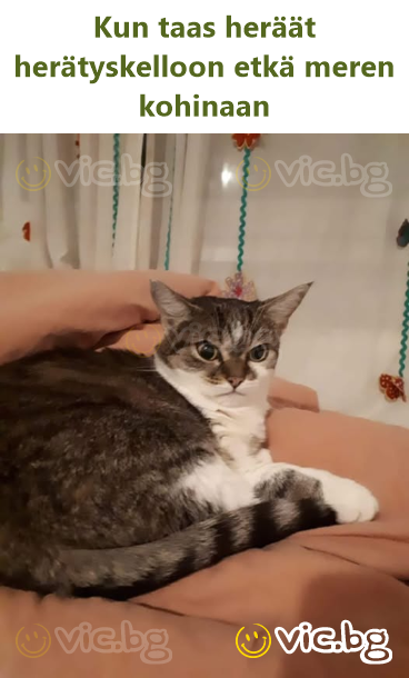 Kun taas heräät herätyskelloon etkä meren kohinaan