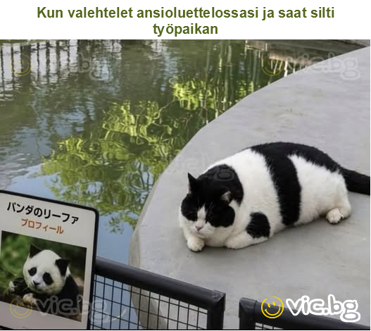 Kun valehtelet ansioluettelossasi ja saat silti työpaikan